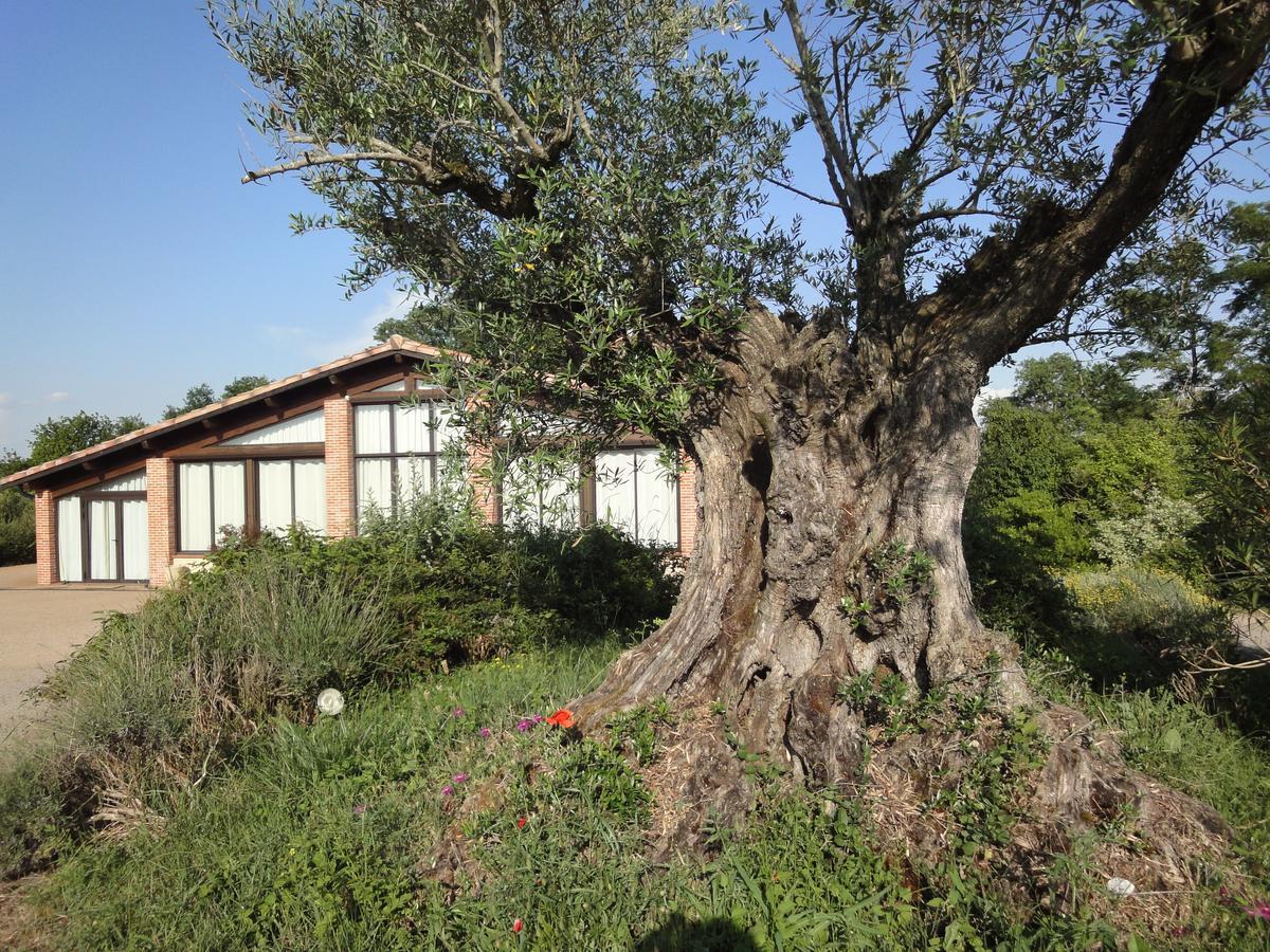 Chalet Domaine De Combe Ramond Hotel Veilhes Exterior foto